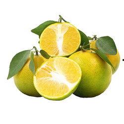 爆料小橙子打水漂视频,一场欢乐的视觉盛宴  第3张