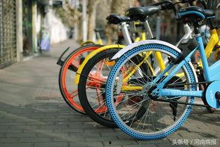 郑州自行车最新爆料消息 第3张 郑州自行车最新爆料消息 第3张
